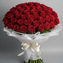 Букет 101 Красная роза Блэк Мэджик в Лангепасе