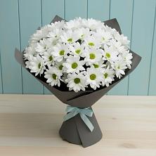 Букет цветов из:  Хризантемы в Лангепасе