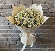 Букет цветов из:  Ромашки #REPLACE_PRED# Лангепасе
