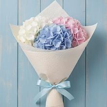Букет цветов из:  Гортензия в Лангепасе