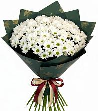 Букет цветов из:  Хризантемы в Лангепасе