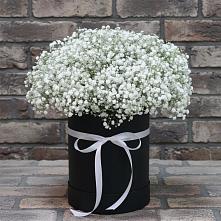 Цветочная композиция из Гипсофила в шляпной коробке в Лангепасе