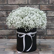 Цветочная композиция из Гипсофила в шляпной коробке в Лангепасе