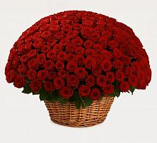 Премиум букет из: Розы в Лангепасе