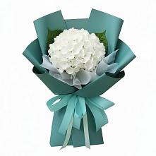 Букет цветов из:  Гортензия #REPLACE_PRED# Лангепасе